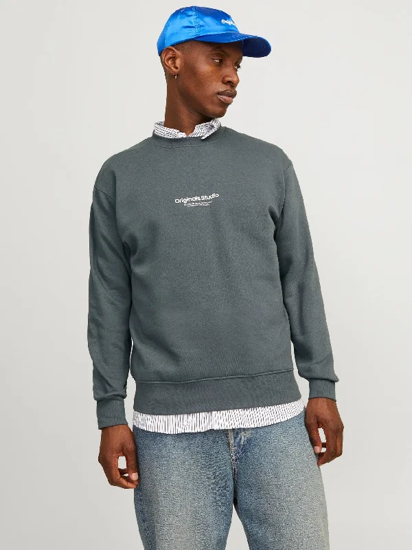 Printed Sweatshirt in Irongate